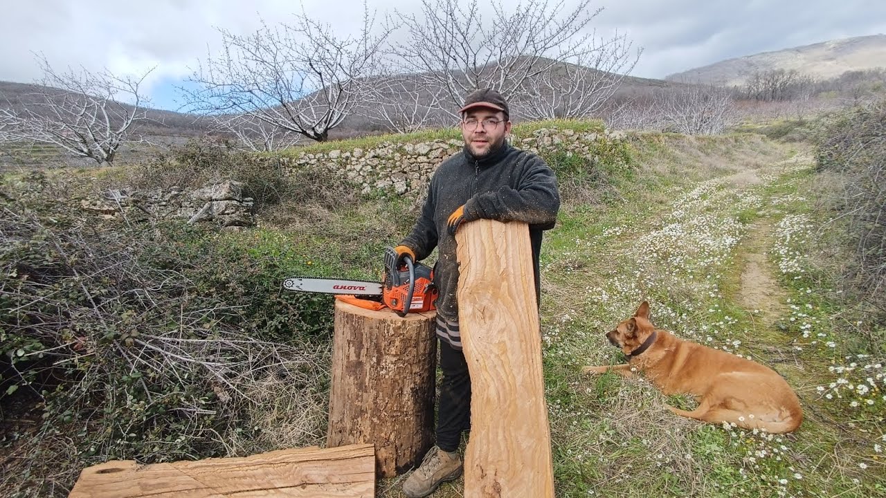 PREPARAMOS VIGA de CASTAÑO con la MOTOSIERRA, PARTE 1
