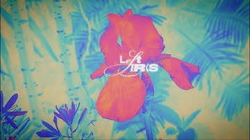 Left Iris - Crash (Lyric Video)