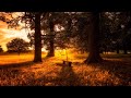 Autumn afternoons and relaxing piano music
