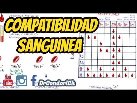 Vídeo: Grupo Sanguíneo: ¿cómo Determinar La Compatibilidad, Qué Afecta?