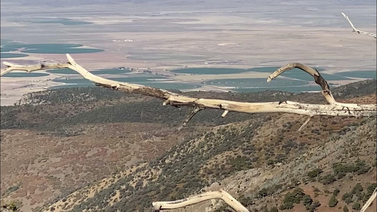 Utah spike elk hunt 2021 YouTube