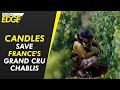 French wine producers using candles to save grand cru Chablis as frost ravages rest of vineyards