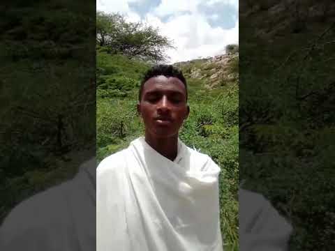 ቪዲዮ: ለትንሳኤ ትንቢታዊ ህልሞች አሉ?