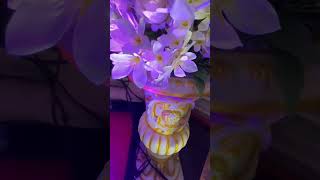 Decoration #viral #reels #video #moradabad #decoration #beautiful #rampur #girl #woman