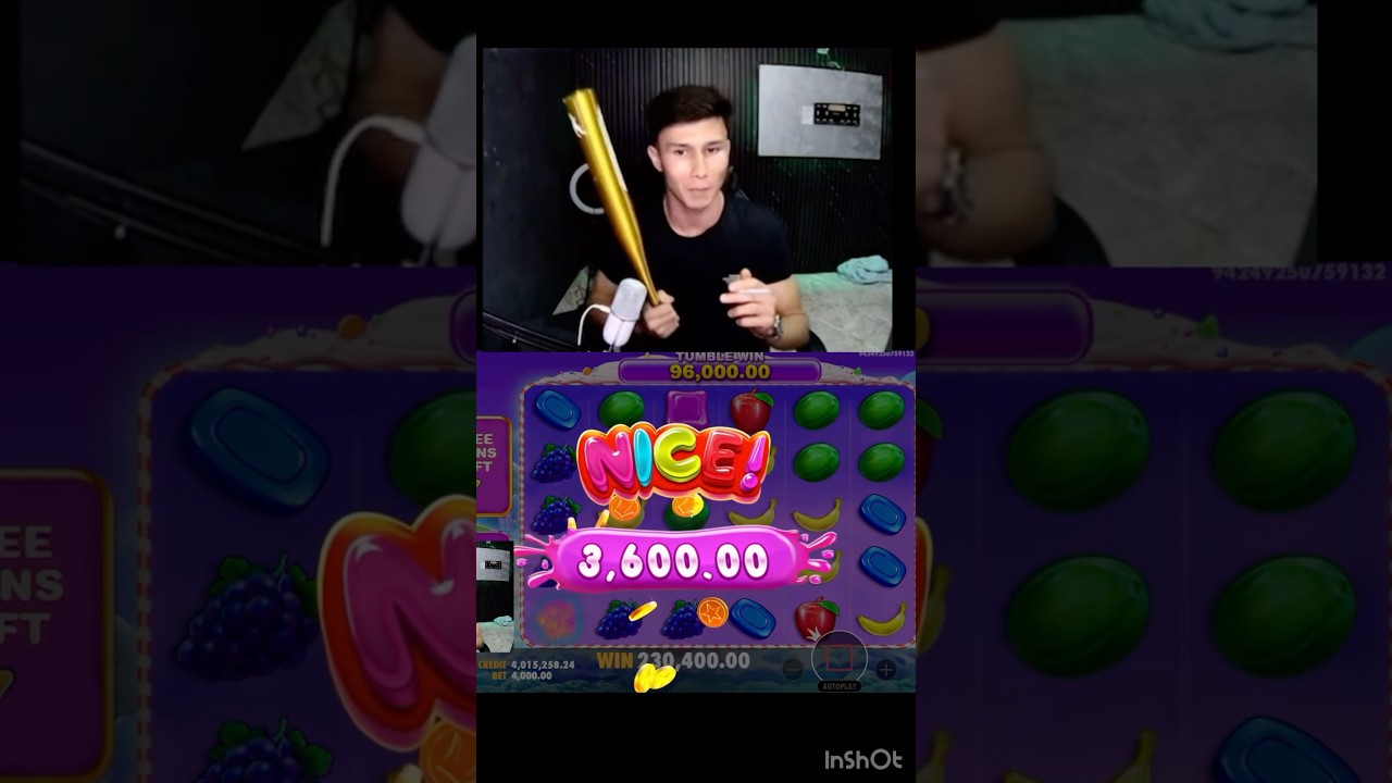 kame Zanoscha 1xbet slot smartphone qos23 automobile casino games bigwin live