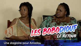 Une stagiaire pour Amadou - Les Bobodiouf, le retour - Saison 3 - EP 20