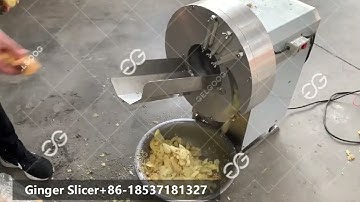 501 Ginger Chips Cutting Machine Video #ginger #slicer