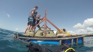 UWC East Africa   Video   Coral Regeneration Project