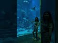 The Lost World Aquarium at Atlantis The Palm Dubai 🐠 🩵