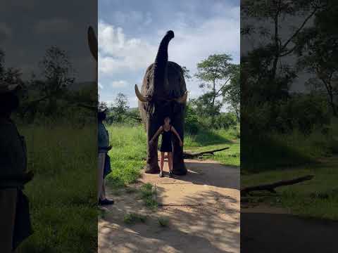 Encounter with Kitso