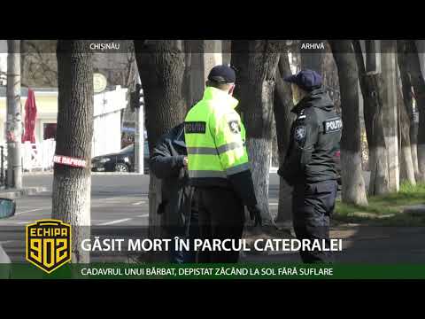 Video: Câine îngropat Ilegal în Parcul Public: Ce Ar Trebui Să știe Părinții De Companie