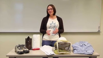 Beekeeping Protective Gear