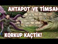 Ahtapot ve Timsah gördüm. Korkup kaçtım🐙🐊😲