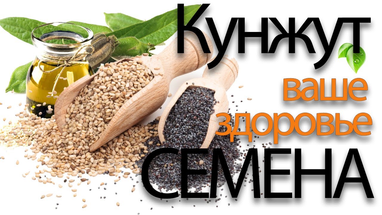 Кунжут. Польза и вред. Чем отличается белый от черного. Кунжутное масло ...