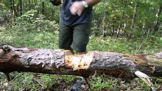 NMFBM wood chopping