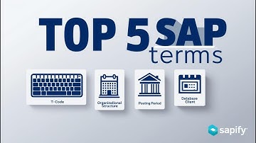 Top 5 SAP Terms Every Beginner MUST Understand (With Real Examples)