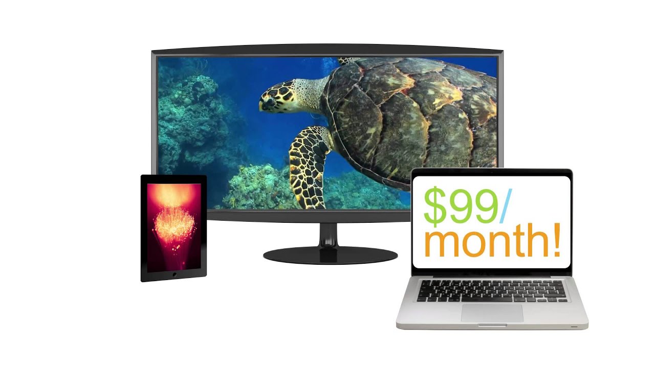 FUSE TV & Internet from $99 p/m