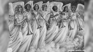 Rəqəmlərin hakimiyyəti | ANS TV