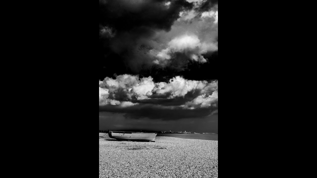 Home Lands: The Wildscape of East Anglia