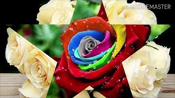 سورة الكهف بصوت جميل جدا 💖جمعة مباركة للجميع💞