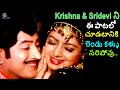 KRISHNA AND SRIDEVI ADORABLE SONG RANI VASALA | JAYAM MANADE MOVIE #kjyesudas #psusheela