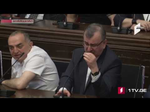 პარლამენტში ნიკა მელიასთვის იმუნიტეტის მოხსნის საკითხს განიხილავენ