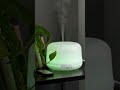 🌿✨ ¡TU CASA NUNCA HABÍA OLIDO TAN BIEN! 🤩🏡