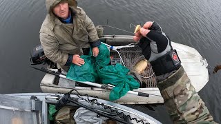 Рейд по заливам Гадючья балка, Отрадное, Приветное 🐟​ Браконьеры на зимовальных ямах ноябрь 2022