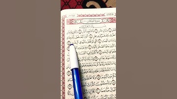القرآن الكريم سورة الفجر #قرآن #قران_كريم #الشيخ_ماهر_المعيقلي #اكسبلور