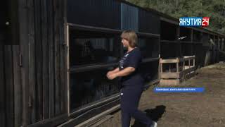 ⁣Фермер-любитель из Покровска разводит овец, коз, вьетнамский свиней и индюков