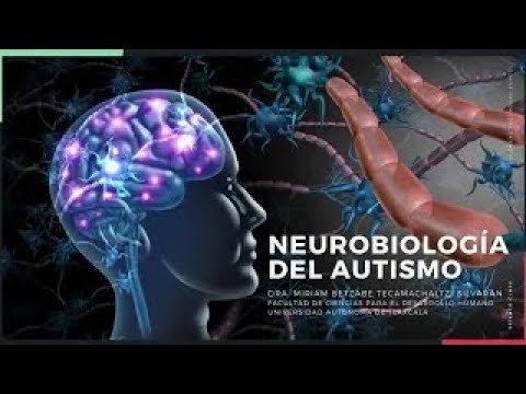 Vídeo: Activación Del Cerebro Social Durante La Mentalización En Una Gran Cohorte De Autismo: El Proyecto Longitudinal Europeo Del Autismo