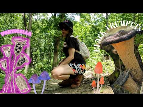 Mushrooms & Microbe Hunting
