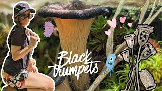 Mushrooms & Microbe Hunting