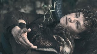 ニュートが抱える魔法動物が運命を左右する!?正体は一体？／映画『ファンタスティック・ビーストとダンブルドアの秘密』本編映像