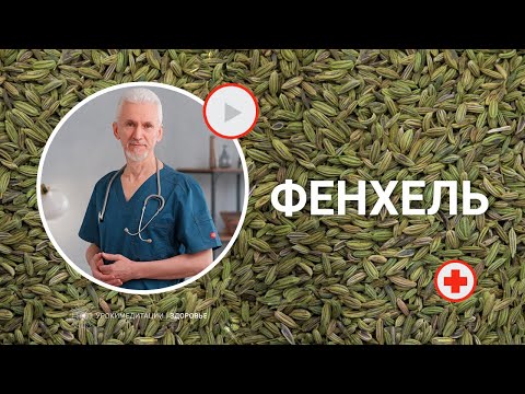 ФЕНХЕЛЬ: аюрведические рецепты для исцеления