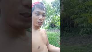 Cara mencari sumber mata air dengan menggunakan buah kelapa