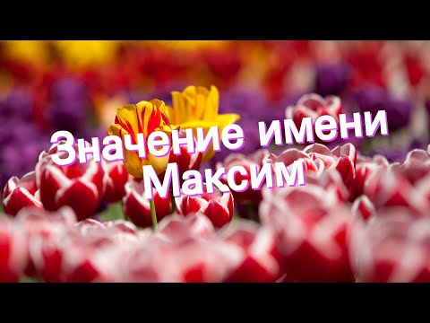 Значение имени Максим. Толкование, судьба, характер