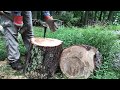 Splitting Wood Using Sledge & Wedge