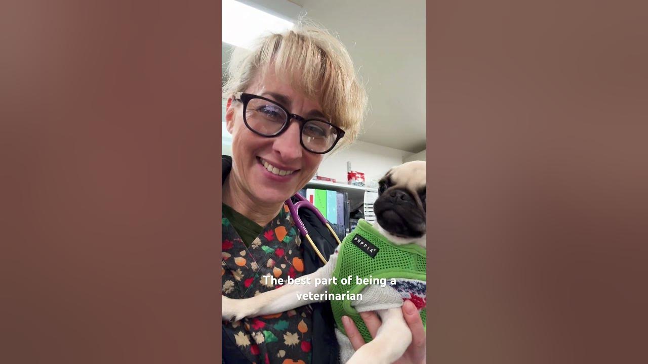 The best fringe benefit of being a veterinarian is telling your