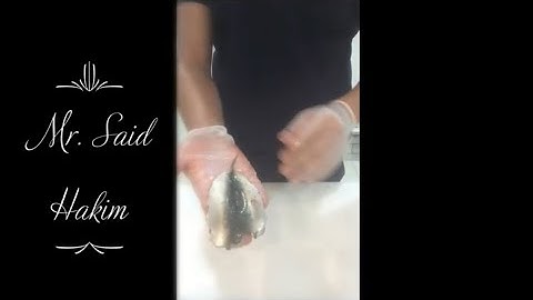 how to fillet sardines fish