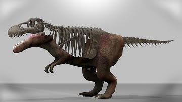 【blender】化石からティラノサウルスを復元しました / I revived a T-Rex from its fossil