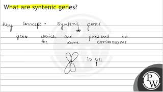 What are syntenic genes
