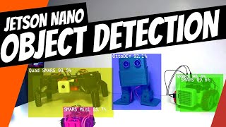 Jetson Nano Custom Object Detection  how to train your own AI