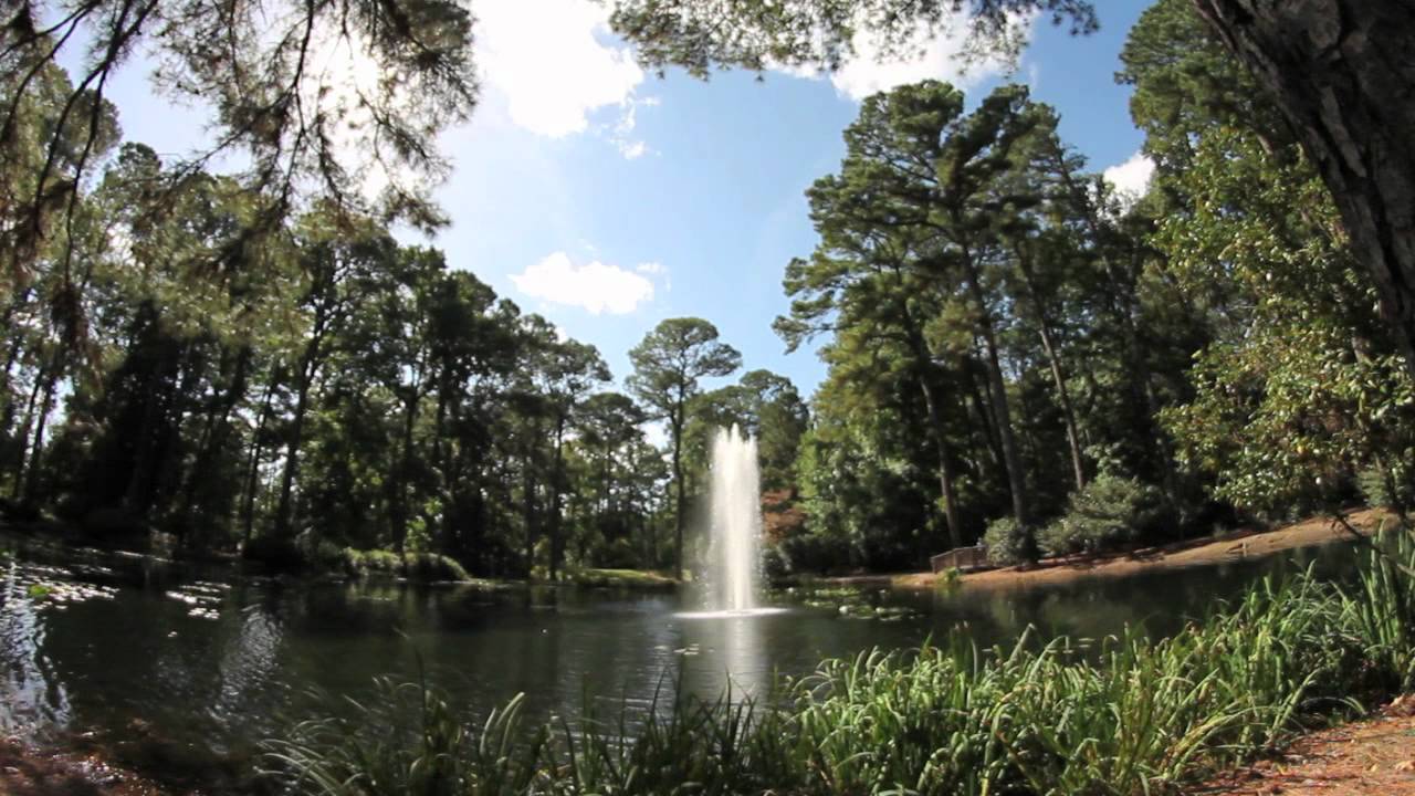 Norfolk Botanical Garden Water Features YouTube