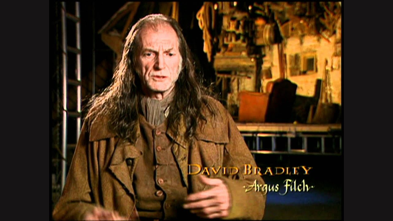 Harry Potter and the Chamber of Secrets - David Bradley short interview ...