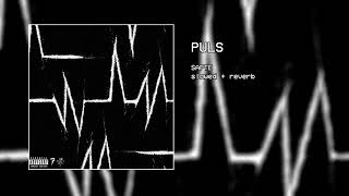sapte - puls (slowed + reverb)