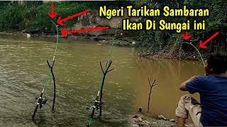 Detik-detik joran pancing di tarik ikan sampai meronta-ronta melengkung tajam