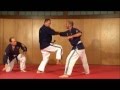 Jjki jujitsu kata by soke mancini