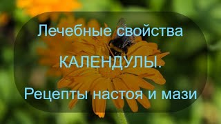 Лечебные свойства календулы