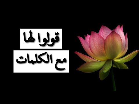 عبدالرحمن محمد قولو لها انني لازت اهواها مع الكلمات